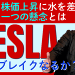 【株価好調なTESLA（テスラ）への１つの懸念】販売台数が予想超え！様々な追い風が吹くも「EV補助金終了」の向かい風に耐えられるか？