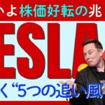 テスラ（TESLA）株価復活の裏側を徹底解剖！株価を後押しする「5つの追い風」と潜むリスクとは？
