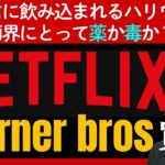 Netflixが11兆円でワーナー買収へ！ハリーポッターもDCも手中に？ハリウッド激震の裏側とエンタメ帝国の行方を徹底解説